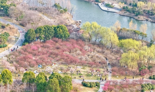 微信截图_20250314111406.png